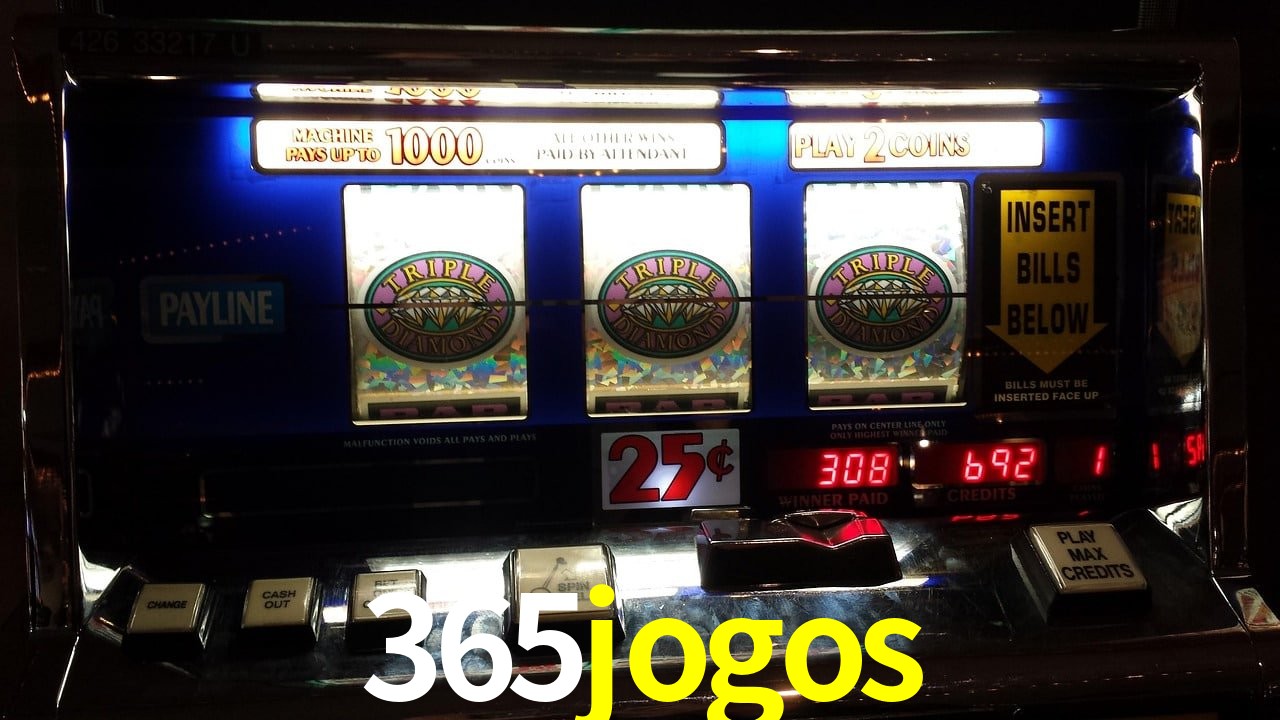 Experiência VIP 365jogos